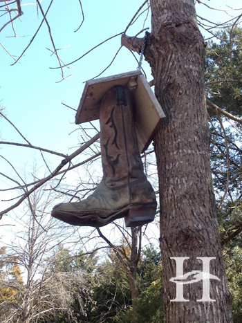 Heath Crossing Homeowners Association - Tree house boot